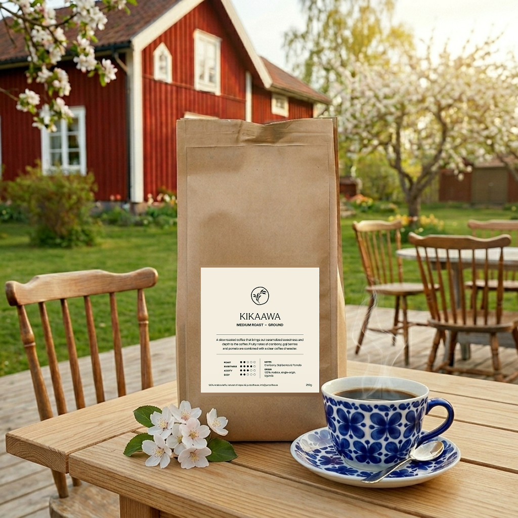 Kikaawa swedish summer (1).png